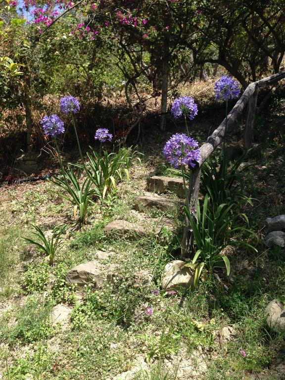 Giardino Di Sicilia Guest House Sant'Agata di Militello Bagian luar foto